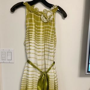 NWT BCBG MAXAZRIA Woven Silk Dress.